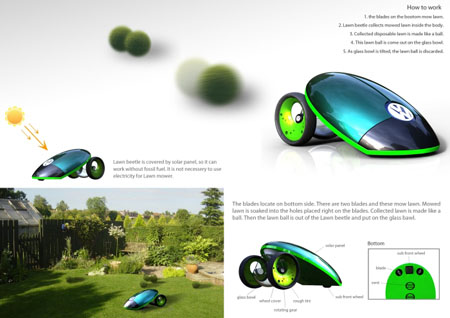 Lawn Beetle