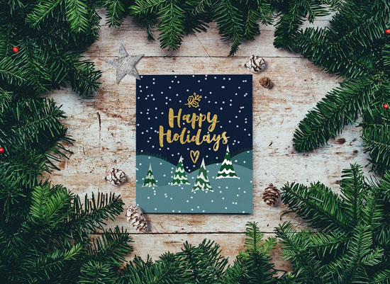 Merry Christmas from IGreenSpot 2019!