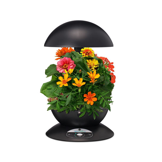 Miracle-Gro AeroGarden 3-Pod Indoor Garden with Gourmet Herb Seed Kit