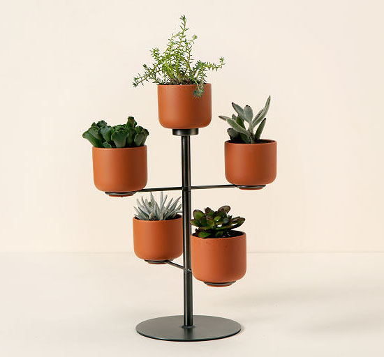 Modern Desktop Terracotta Planters