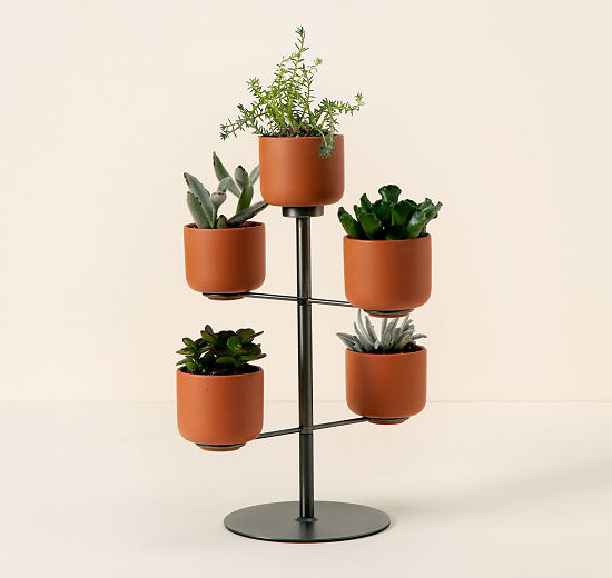 Modern Desktop Terracotta Planters