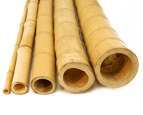 Natural Bamboo Pole by Bamboo