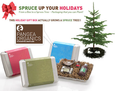 Pangea Gift Pack