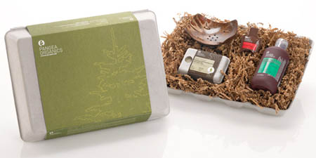 Pangea Gift Pack