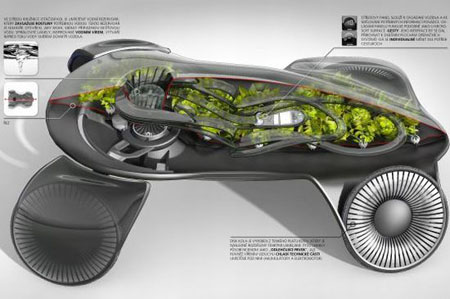 Photosynthesis Car