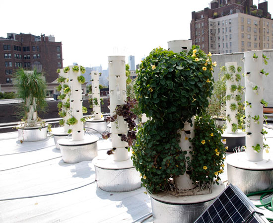 Rooftop Vertical Farm