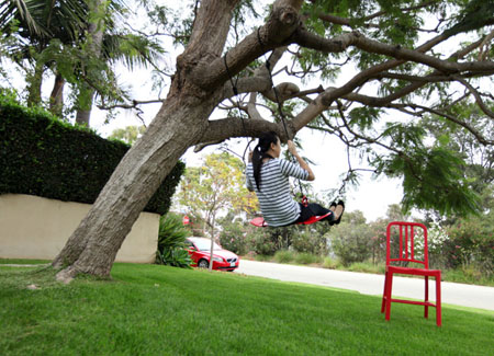 Skateboard Swing