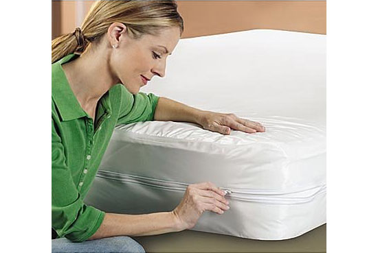 Sleep Safe Mattress ZipCover