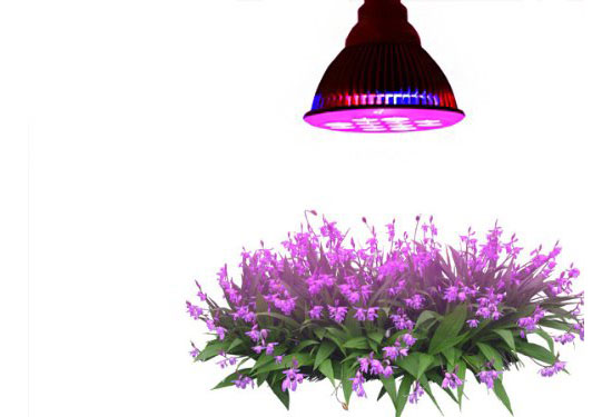 Tao Tronics E27 Led Grow Light