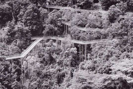 Telok Blangah Hill Park