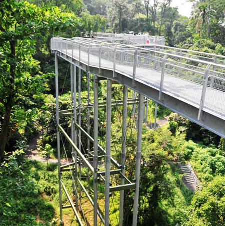 Telok Blangah Hill Park