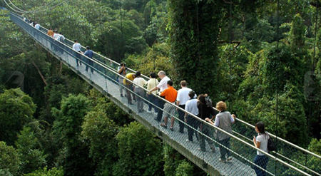 Telok Blangah Hill Park