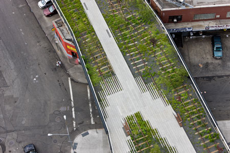 The High Line Park