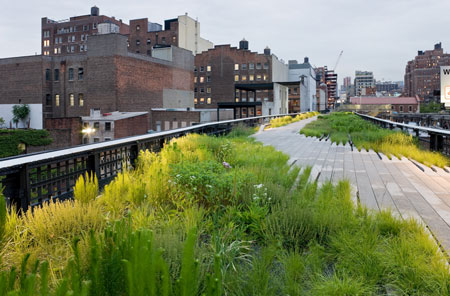 The High Line Park