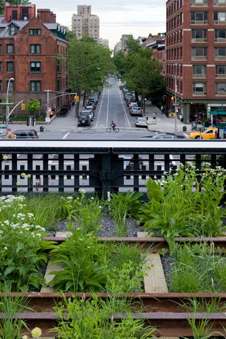 The High Line Park