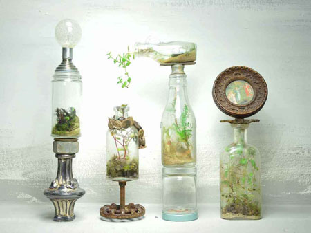 Terrarium