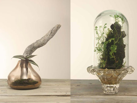 Terrarium