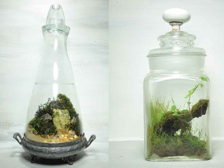 Terrarium