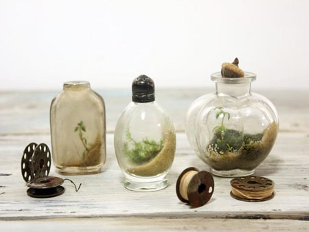 Terrarium