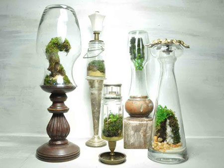 Terrarium
