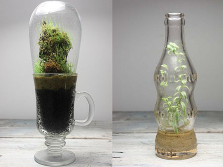 Terrarium