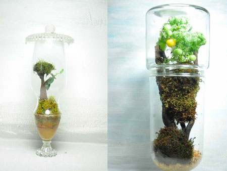 Terrarium