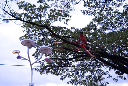 Tree Solar Streetlights