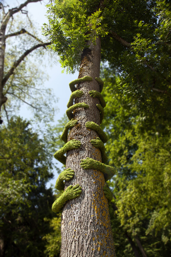 Tree Hug Art Installation by Monsieur Plant