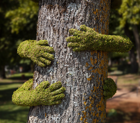 Tree Hug Art Installation by Monsieur Plant