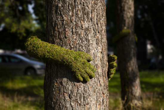 Tree Hug Art Installation by Monsieur Plant