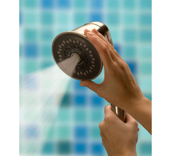 TriSpa Handheld Shower