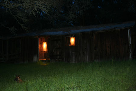 Wine Barrel Staves Lamp