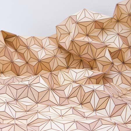 Wooden Carpet by Elisa Stroyzk